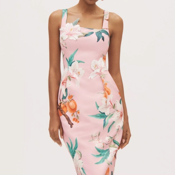 Leo Lin 'Larissa' Midi Dress in Lavish Print in Pink (NWOT) - Picture 3 of 12
